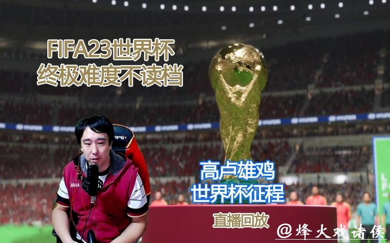 高清世界杯直播回放在线观看